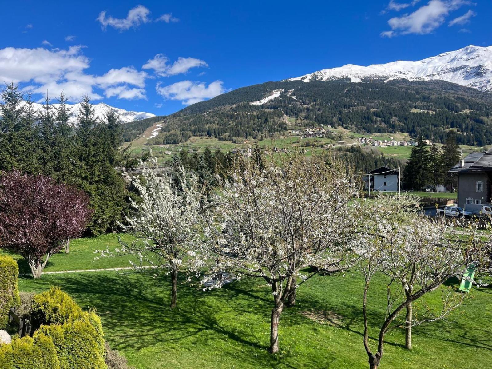 אפרטהוטל בורמיו Chalet Stelle Di Neve מראה חיצוני תמונה